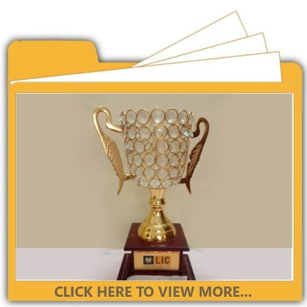 OUR TROPHIES